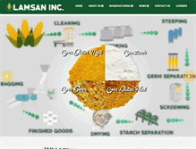 Tablet Screenshot of lamsan.com.ph